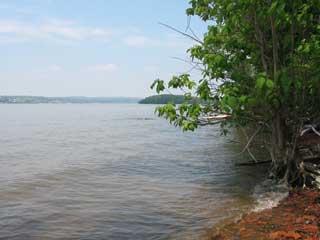 HAMMOND SITE