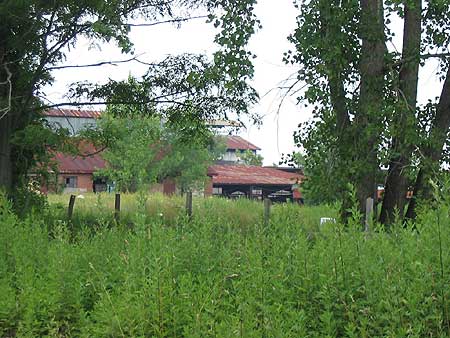 Hutton Brickyard 2006
