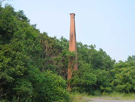 Shultz
Yard Flue 2006 - DSB Photo